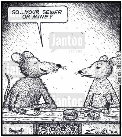 wharf rat cartoon humor: Rat: 'So...your Sewer or mine?' 
